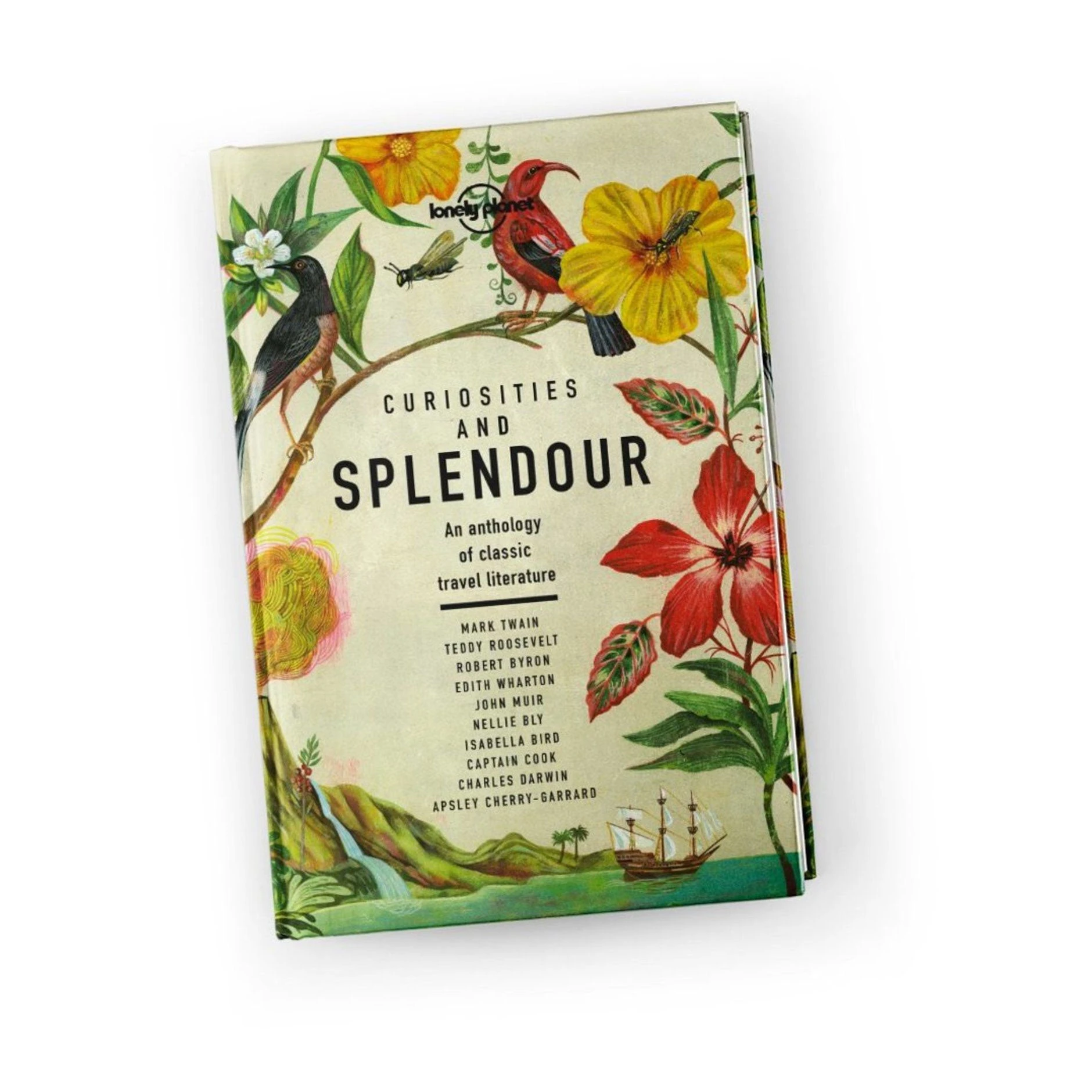 Curiosities & Splendour 3 Curiosities & Splendour