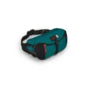 Osprey Heritage Waist Pack 8 Rumpetaske 1 Osprey Heritage Waist Pack 8 Rumpetaske -Campingutstyr Salg 2024 Osprey Heritage Waist Pack 8 Rumptaske Dark Pine Green