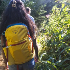 Osprey Daylite Plus Dagstursekk -Campingutstyr Salg 2024 S23 Daylite Plus Holz Seattle 3619exp 8 26 24 web