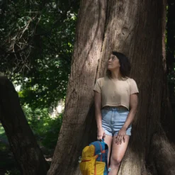 Osprey Daylite Plus Dagstursekk -Campingutstyr Salg 2024 S23 Daylite Plus Holz Seattle 5087exp 8 26 24 web