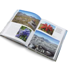 Wanderlust Europe - The Great European Hike -Campingutstyr Salg 2024 WanderlustEurope inside06 2000x 3b738a0b af98 49d5 99ee 5e356fc8c361