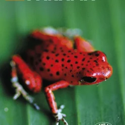 Panama Rough Guides Reiseguide