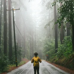 The Great American Road Trip -Campingutstyr Salg 2024 p 262 TheGreatAmericanRoadTrip gestalten2022 NoUsageWithoutCredits 2000x jpg